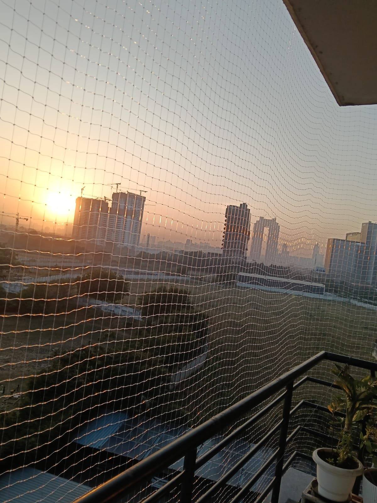 Bird Netting Gurugram